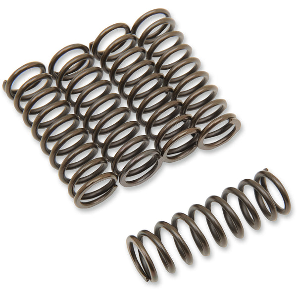 Barnett Clutch Spring Set 501-48-05129