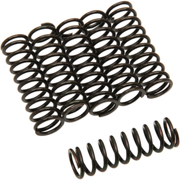 Barnett Clutch Springs 501-42-06031 | Clutch Plates & Springs