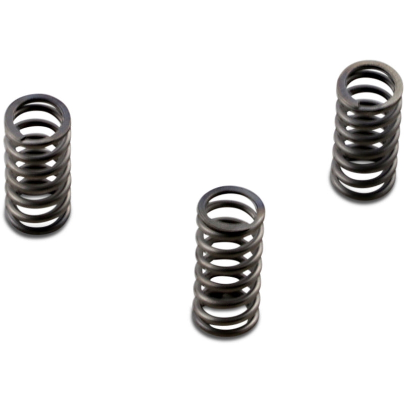 EBC Clutch Springs CSK235 | Clutch Plates & Springs