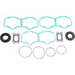 PROX Gasket Kit with Oil Seals - Ski Doo 550 34.5503