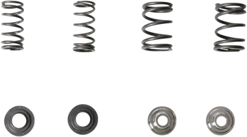 KIBBLEWHITE Valve Spring Kit 30-4021