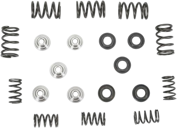 KIBBLEWHITE Valve Spring Kit 80-80030