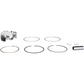 Wiseco Piston Kit - 76.00 mm - Husaberg | KTM 40006M07600