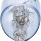 EIKO Mini Bulb - PVG 168 168PVG-BPP