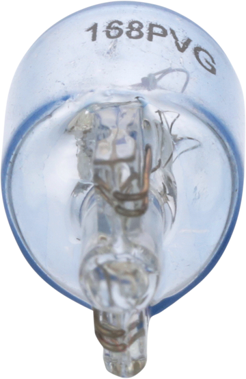 EIKO Mini Bulb - PVG 168 168PVG-BPP