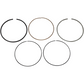 WISECO Piston Ring Set 3875VM