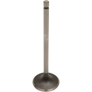 WISECO Intake Valve VIS024