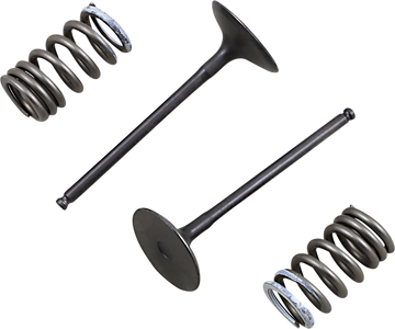 PROX Valve and Spring Kit - Intake - Suzuki 28.SIS3338-2