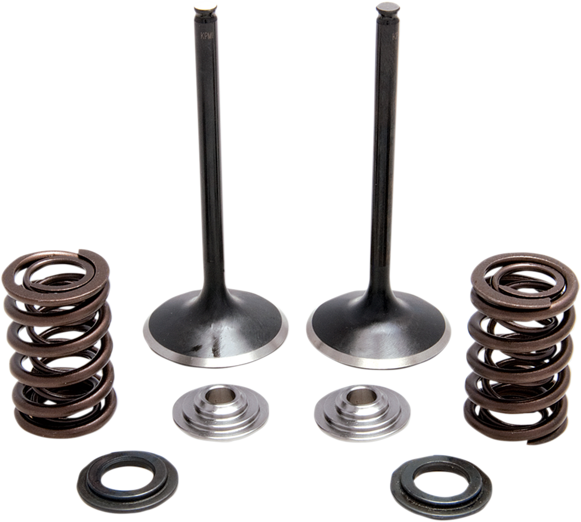 KIBBLEWHITE Intake Spring Kit 30-33200