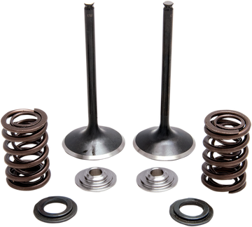 KIBBLEWHITE Intake Spring Kit 30-33200