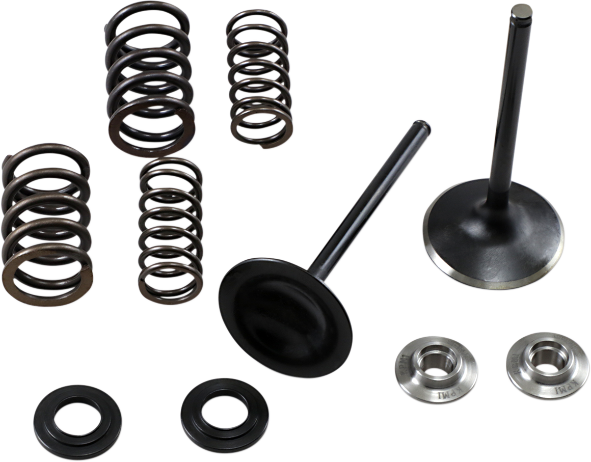 KIBBLEWHITE Intake Spring Kit 30-33250