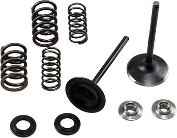 KIBBLEWHITE Intake Spring Kit 30-33250