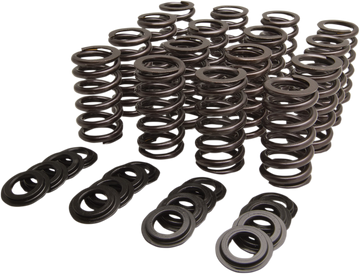 KIBBLEWHITE Valve Spring Kit 60-61710