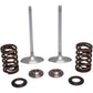 Kibblewhite Intake Valve Kit 30-32780 | Valves & Parts | Kibblewhite