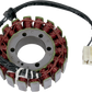 RICK'S MOTORSPORT ELECTRIC Stator - Honda 21-110