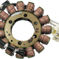 RICK'S MOTORSPORT ELECTRIC Stator - Aprilia 21-030
