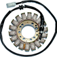 RICK'S MOTORSPORT ELECTRIC Stator - Triumph 21-014