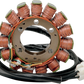 RICK'S MOTORSPORT ELECTRIC Stator - Ducati 21-017