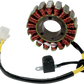 RICK'S MOTORSPORT ELECTRIC Stator - Aprilia 21-020