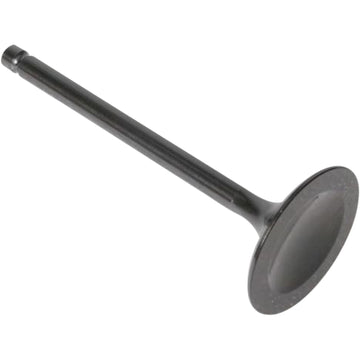 Kibblewhite Intake Valve 30-30081 | Valves & Parts | Kibblewhite