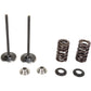 KIBBLEWHITE Valve Spring Kit 30-31580