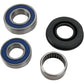 All Balls Chain Case Bearing and Seal Kit 14-1025