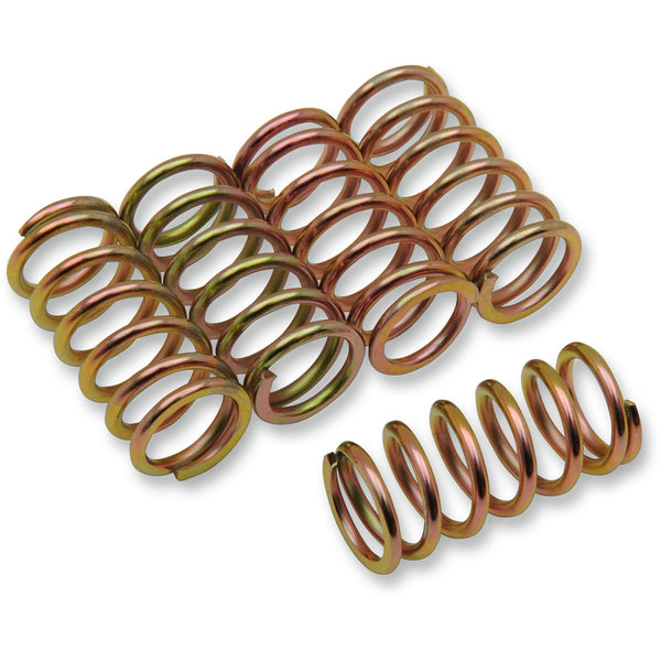 Barnett Clutch Spring Kit 501-45-05050
