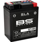 BS Battery Battery - BTZ8V (YT) 300890