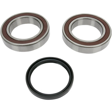 All Balls Chain Case Bearing and Seal Kit 14-1035