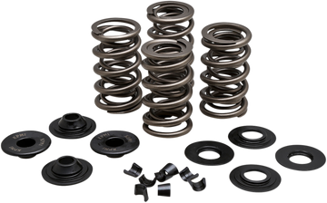 KIBBLEWHITE Spring Kit - .650" - Evolution/Twin Cam 20-21650