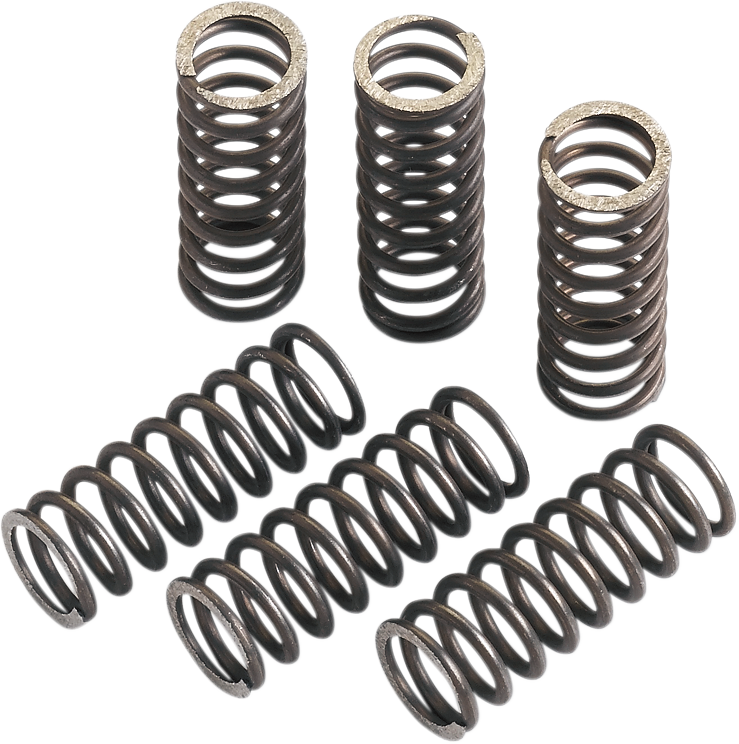 MOOSE RACING Clutch Springs - TRX/CRF 450 MHDS116-6 by Moose Racing