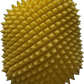 Air Filter Proline