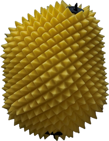 Air Filter Proline