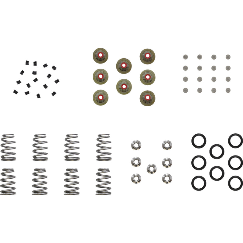 Kibblewhite Beehive Shim Spring Kit 20-23900 | Valves & Parts | Kibblewhite