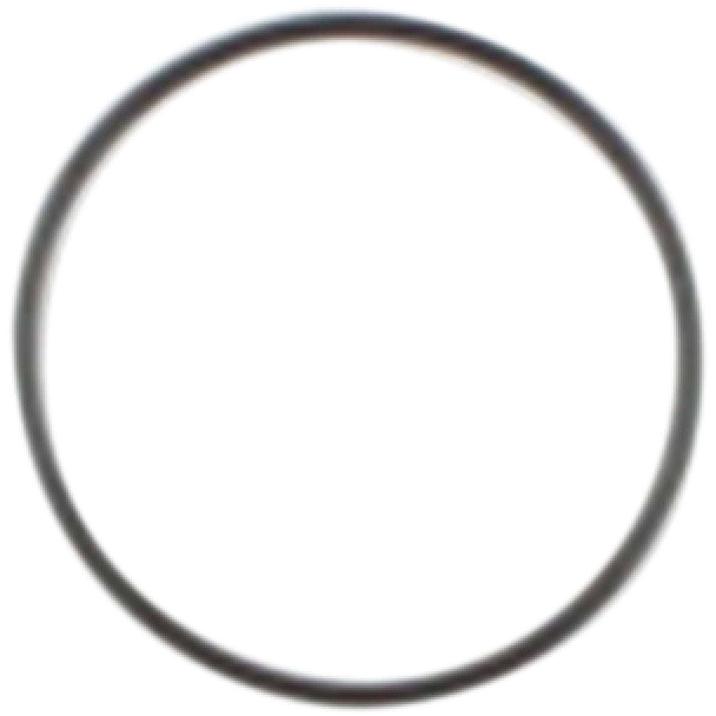 COMETIC Starter Housing O-Ring - Big Twin C9433F1