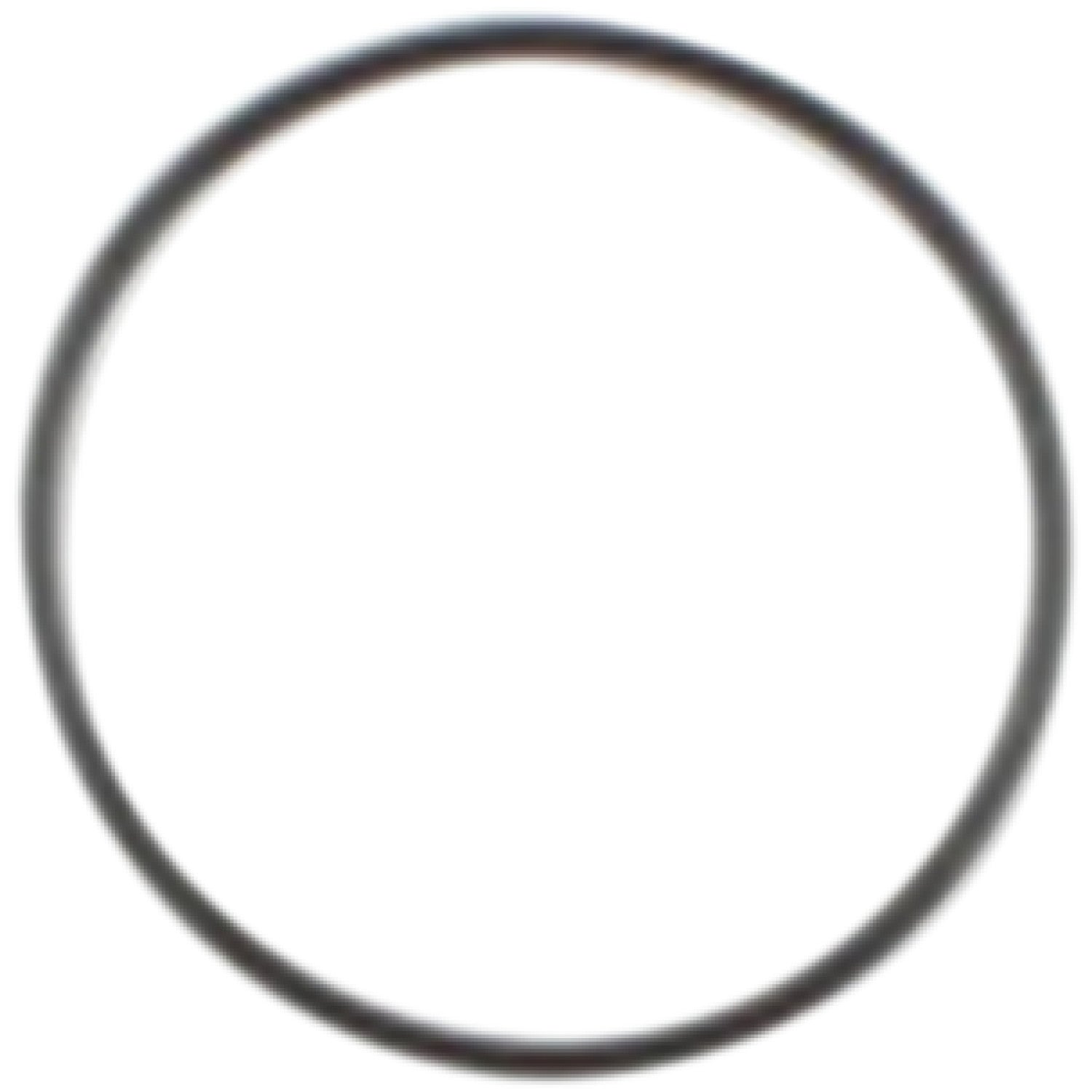 COMETIC Starter Housing O-Ring - Big Twin C9433F1