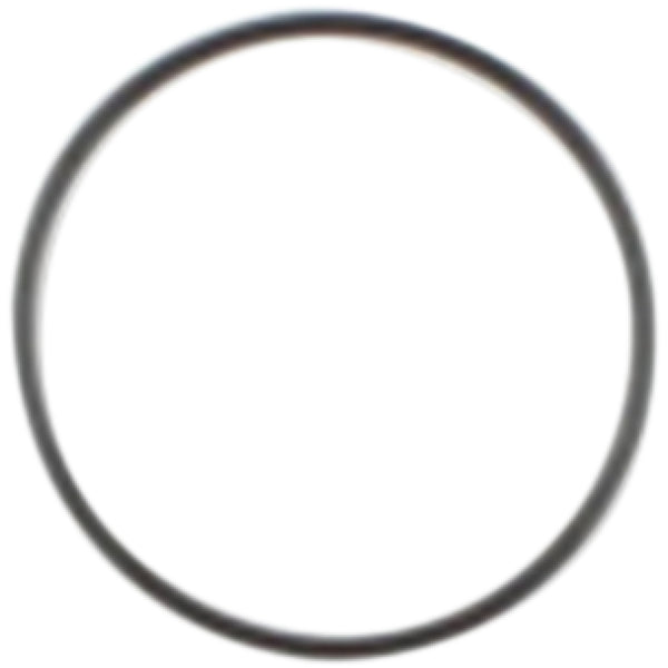 Cometic Starter Housing O-Ring - Big Twin C9433F1