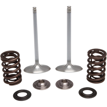 Kibblewhite Intake Valve Kit 40-41450 | Valves & Parts | Kibblewhite