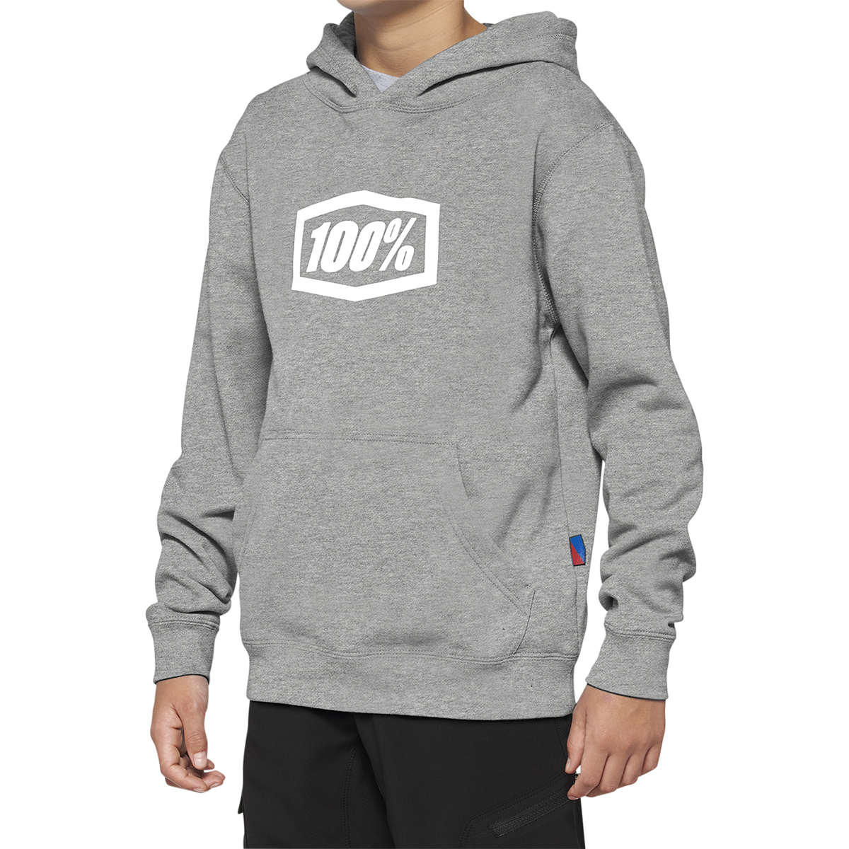 100% Youth Icon Hoodie - Gray - Large 20030-00006