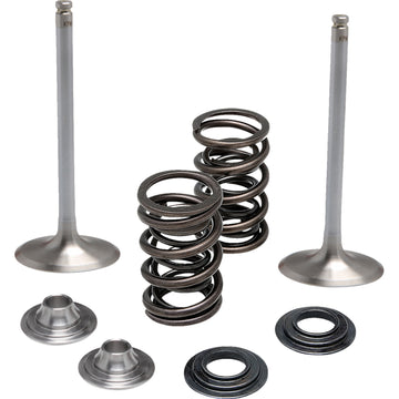 Kibblewhite Valve Kit - Intake 40-41650 | Valves & Parts | Kibblewhite