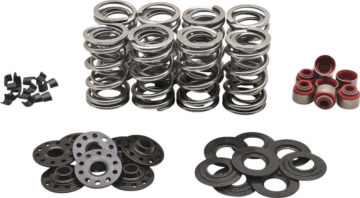 KIBBLEWHITE Dual Spring Kit - M8 20-23850