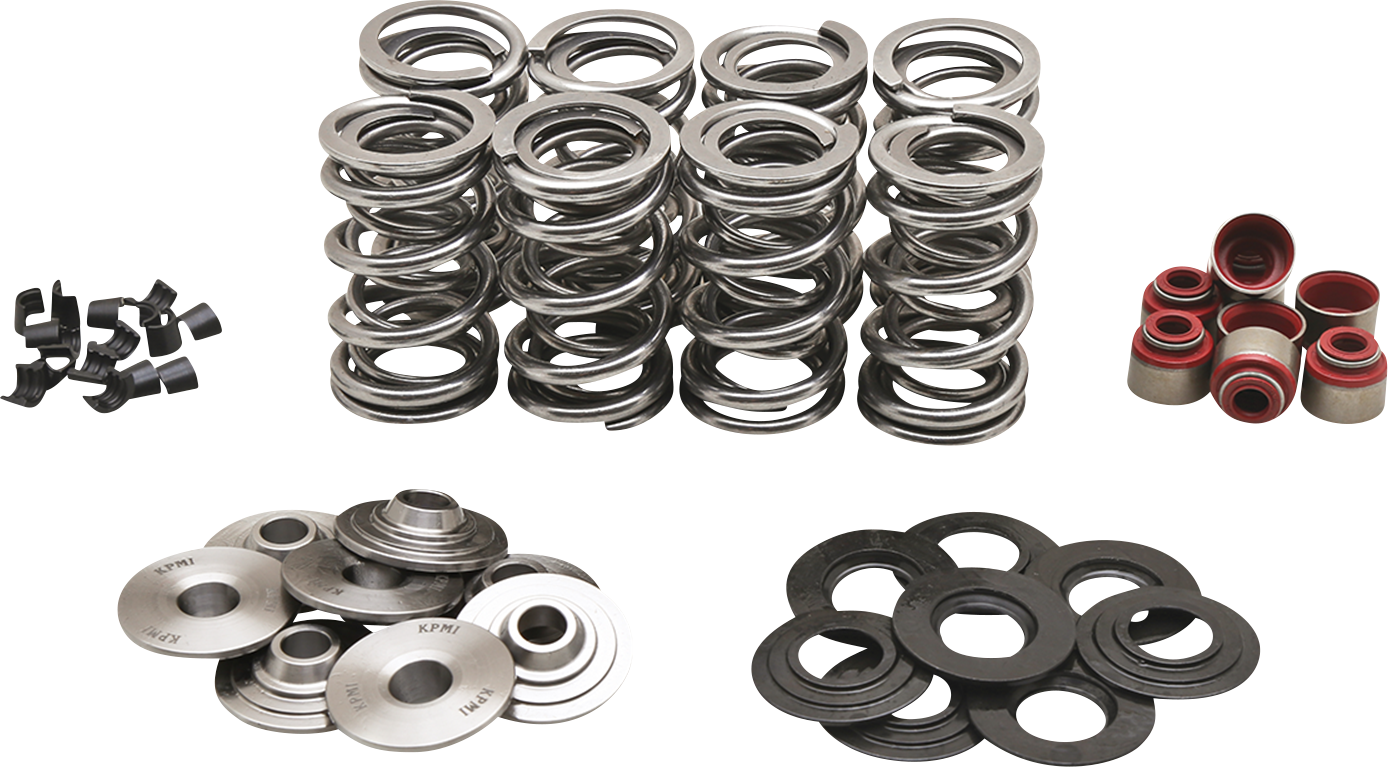 KIBBLEWHITE Dual Spring Kit - M8 20-23800