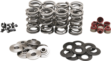 KIBBLEWHITE Dual Spring Kit - M8 20-23800