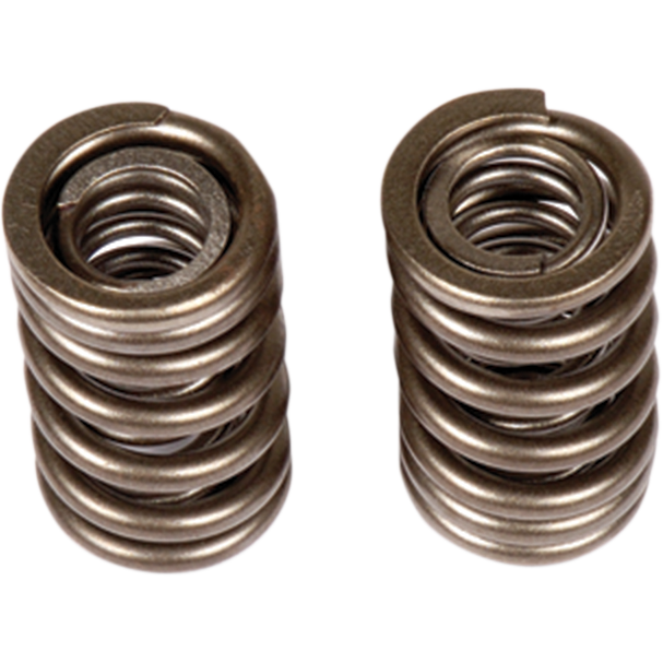 BBR MOTORSPORTS Valve Springs 411-HCF-1504
