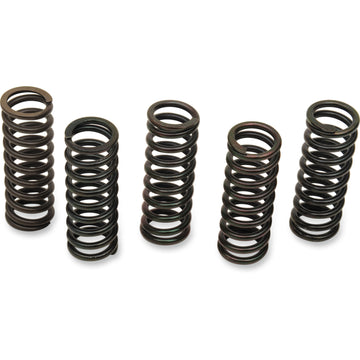 Barnett Spring Set 501-61-05079 | Clutch Plates & Springs