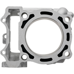 CYLINDER WORKS Cylinder - 77.00 mm - Yamaha CW20013