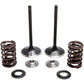 Kibblewhite Intake Spring Kit 30-33200 | Valves & Parts | Kibblewhite