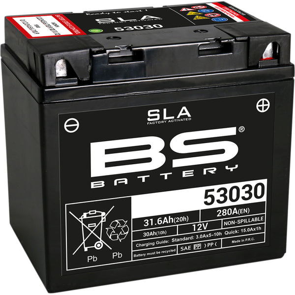 BS Battery Battery - 53030 300880
