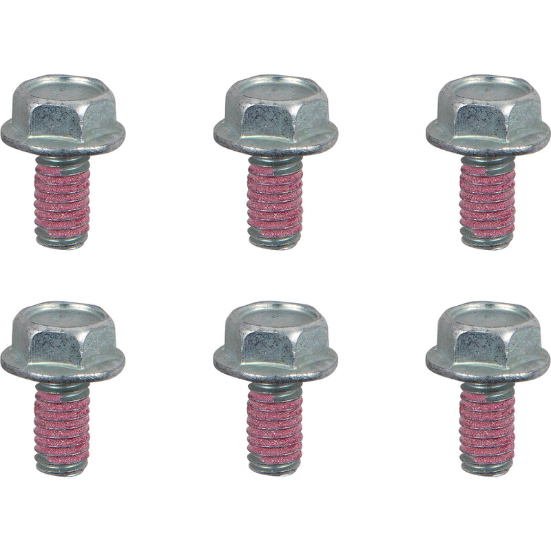 MOTO-MASTER Bolts - Rotor - M6 x 12 12017-PU