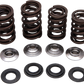 KIBBLEWHITE Valve Spring Kit 30-30640